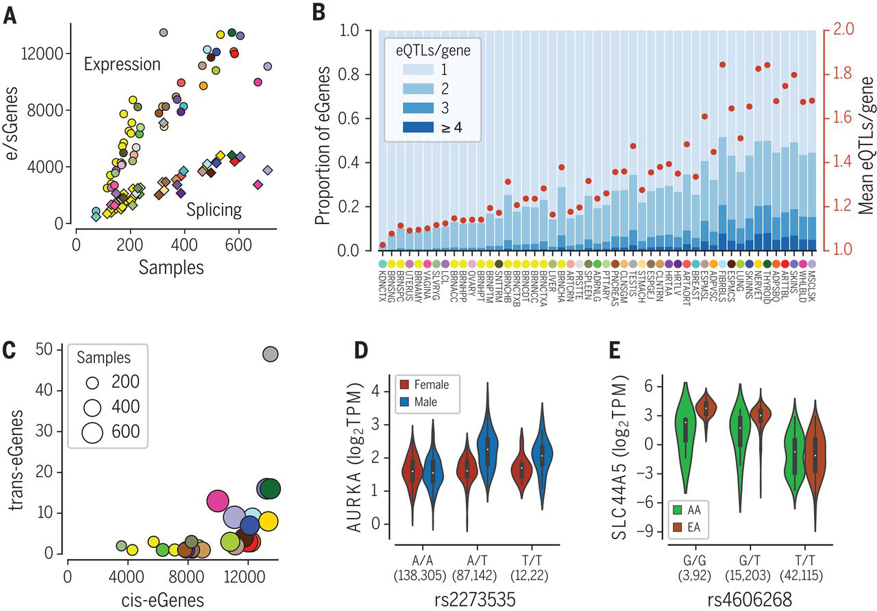 QTL discovery