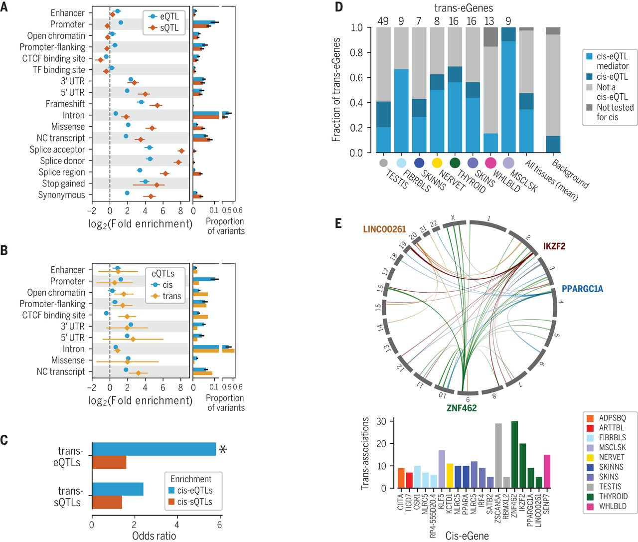 Functional mechanisms of genetic regulatory effects