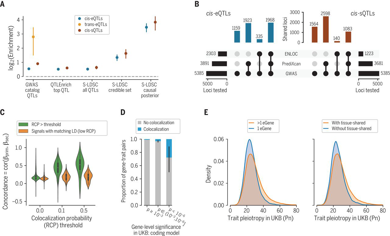 Regulatory mechanisms of GWAS loci