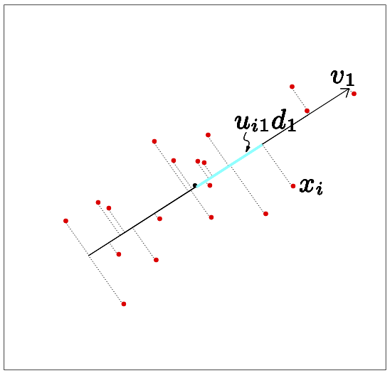 The best rank-1 linear approximation of a set of data.