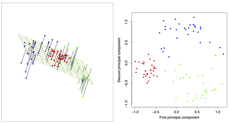 The best rank-2 linear approximation of a set of data.