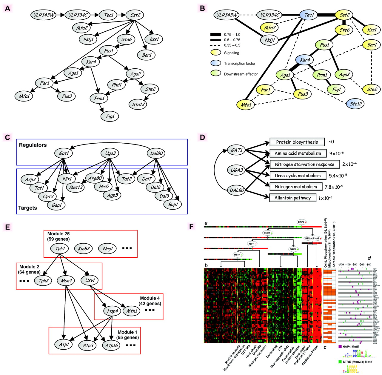 Different regulatory network architectures